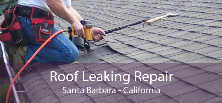 Roof Leaking Repair Santa Barbara - California
