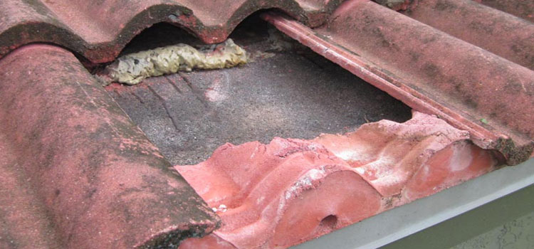 Concrete Ridge Tile Roofing Santa Barbara